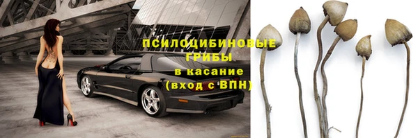 крисы Вязники
