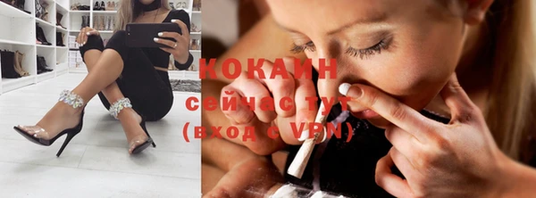 крисы Вязники