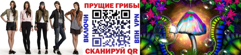 где купить наркоту Петровск-Забайкальский Псилоцибиновые грибы мухоморы